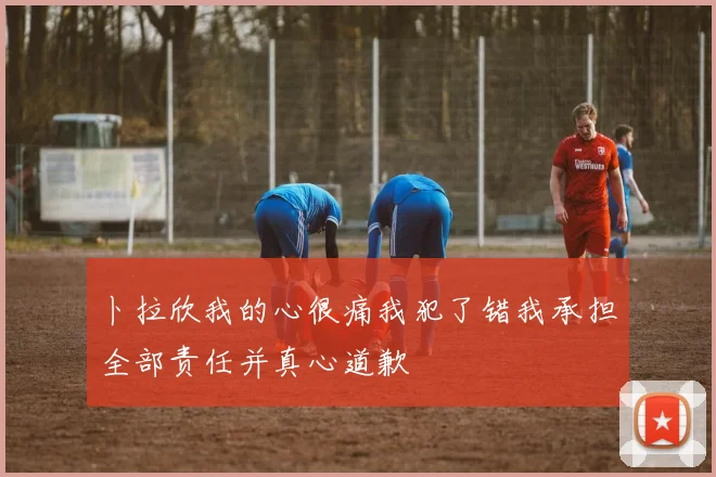 卜拉欣我的心很痛我犯了错我承担全部责任并真心道歉