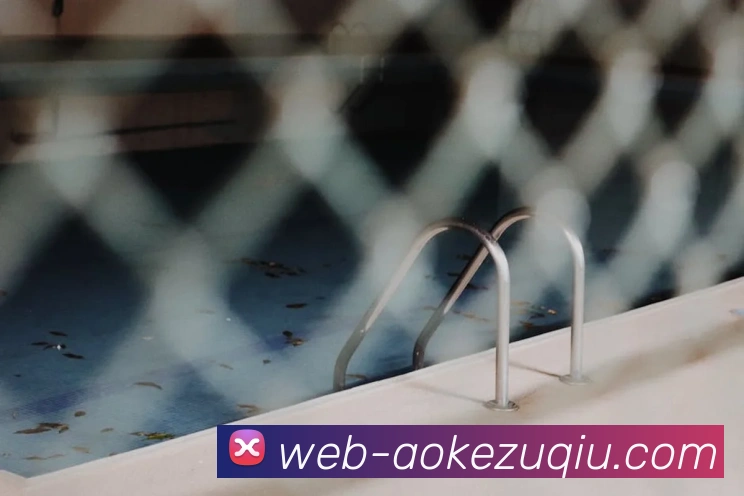 澳客足球：全球职业足球赛事资讯与实时数据交互门户服务体系